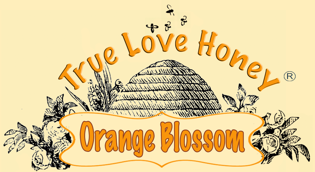 Orange Blossom Honey